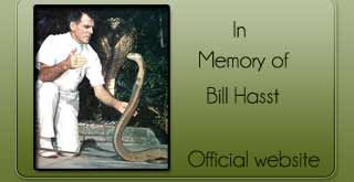 Bill Hasst Memoy of website