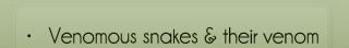 venomous snakes and their venom